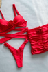 Red Rose Bikini