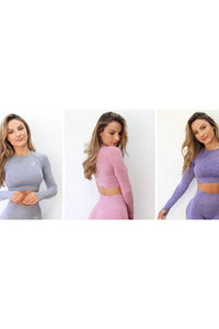 Seamless Long Sleeve Crop Gym Shirt