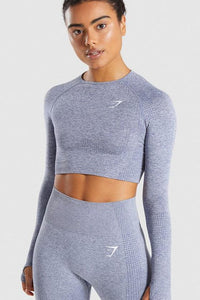 Seamless Long Sleeve Crop Gym Shirt