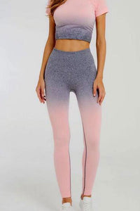 Seamless Tights - Posh Body Babe - Gym Wear - Online Store