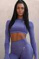 Seamless Long Sleeve Crop Gym Shirt