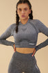 Ombre Seamless Long Sleeve Crop Gym Shirt