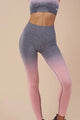 Ombre Seamless Tights